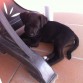 Su primer descanso en la terraza